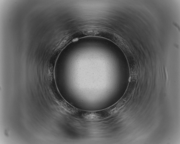 X0000096940460200802151219