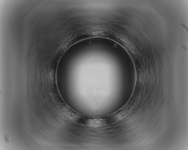 X0000096940461200802151219