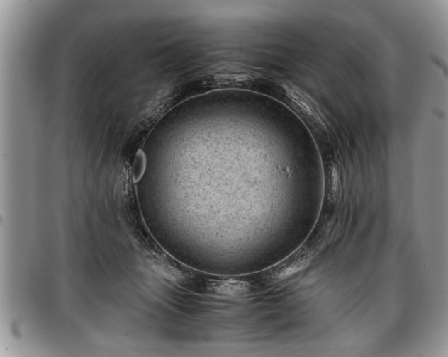 X0000096940463200802151219