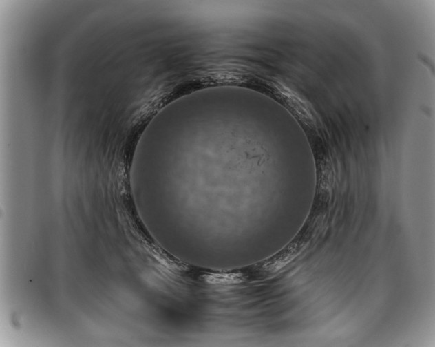 X0000096940465200802151219