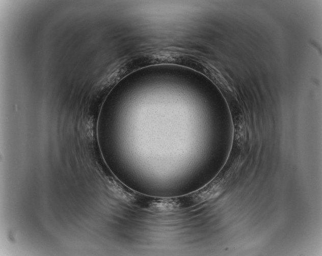 X0000096940466200802151219