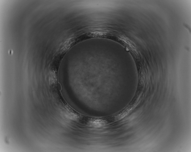 X0000096940467200802151219