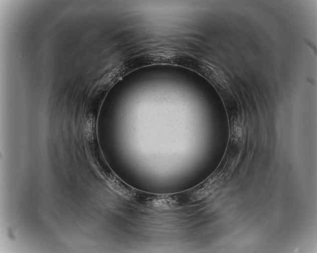 X0000096940468200802151219