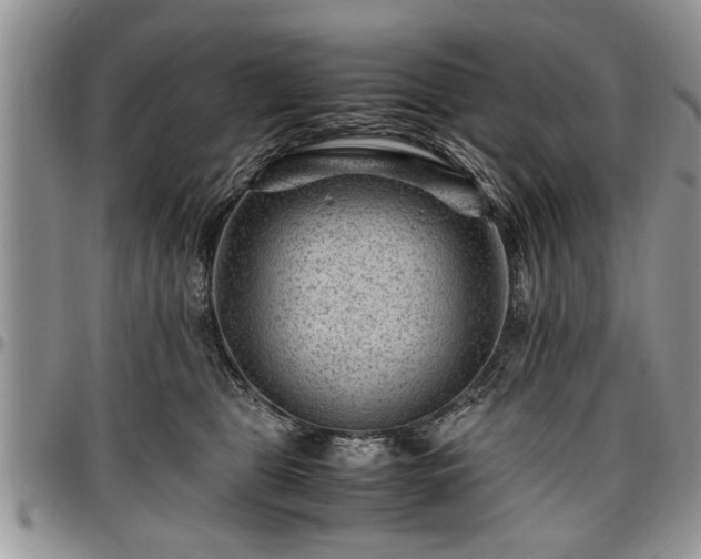 X0000096940469200802151219