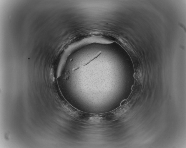 X0000096940470200802151219
