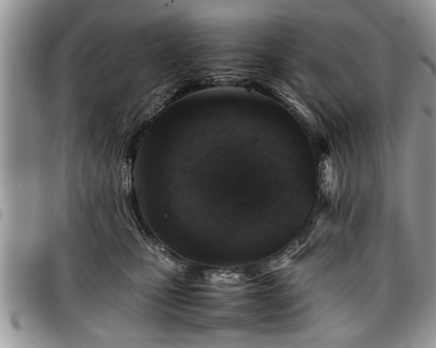 X0000096940471200802151219