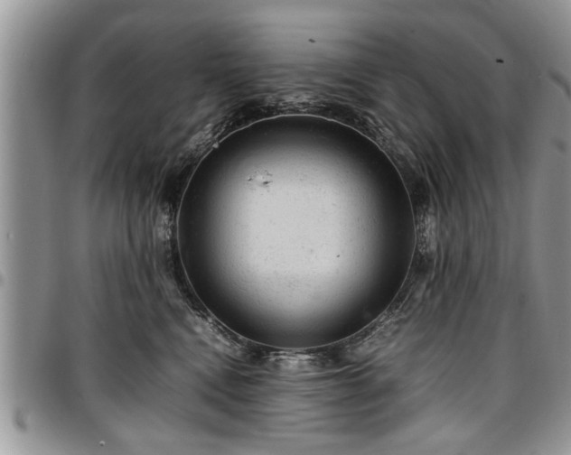 X0000096940472200802151219
