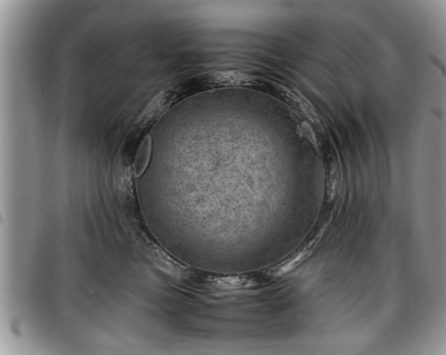 X0000096940473200802151219