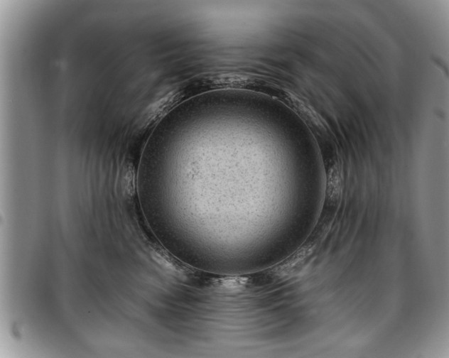 X0000096940474200802151219