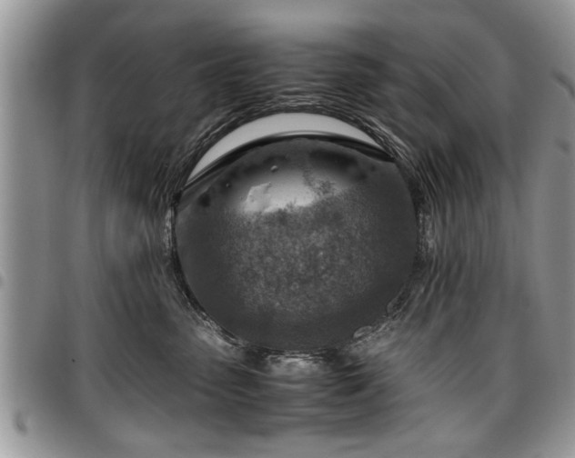 X0000096940475200802151219