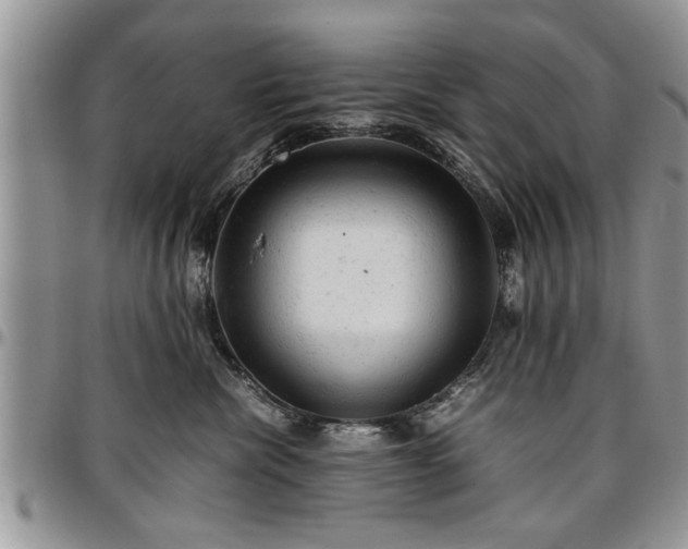 X0000096940476200802151219