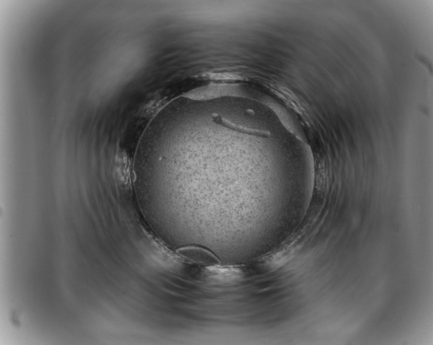 X0000096940477200802151219