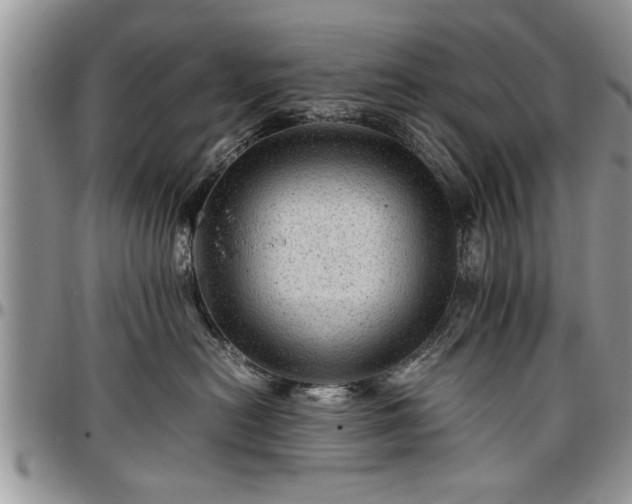 X0000096940478200802151219