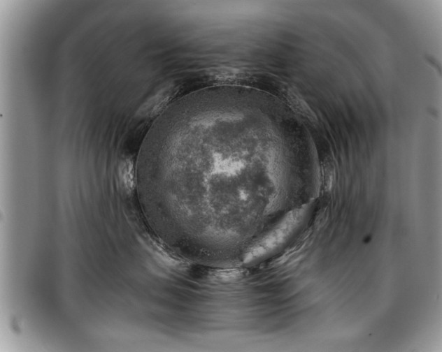 X0000096940479200802151219