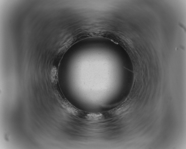 X0000096940480200802151219