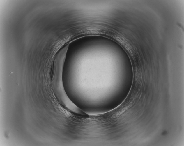 X0000096940481200802151218