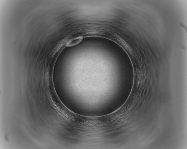 X0000096940482200802151218