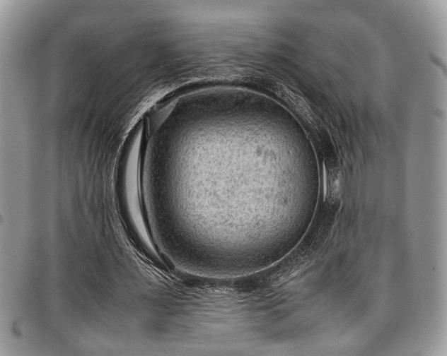 X0000096940483200802151218