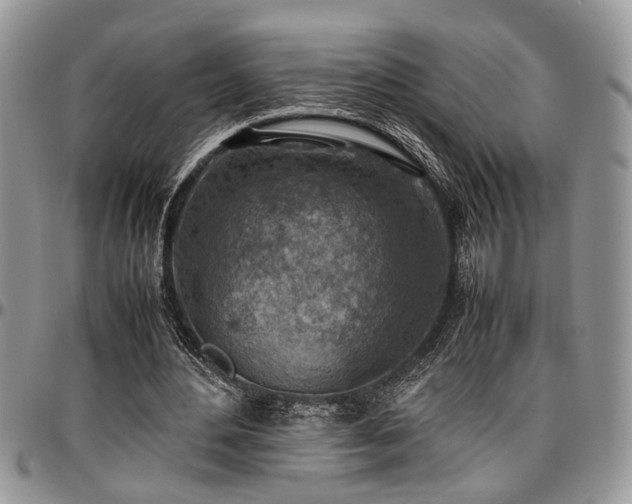 X0000096940484200802151218