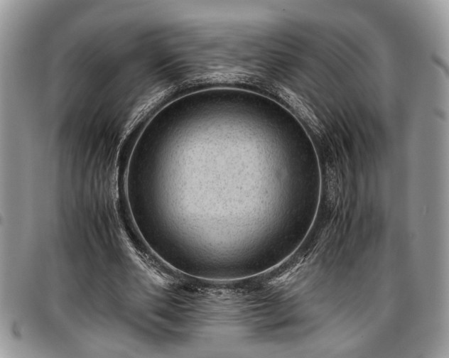 X0000096940486200802151218