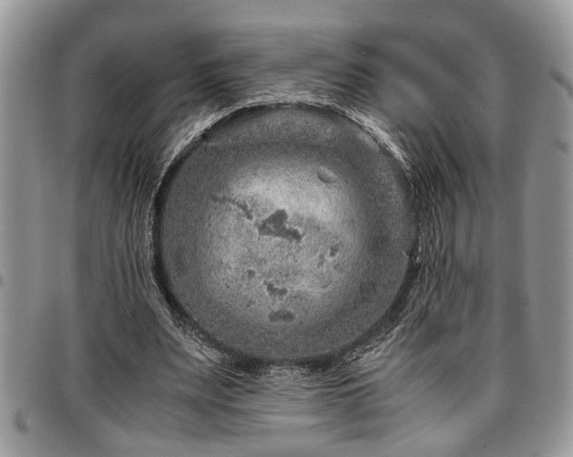 X0000096940487200802151218