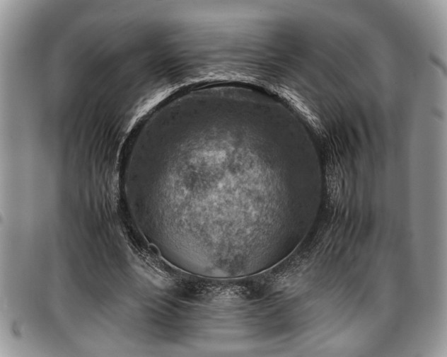 X0000096940488200802151218