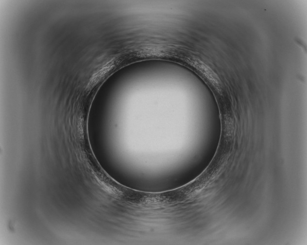 X0000096940489200802151218