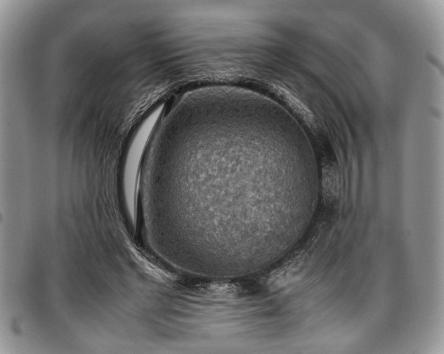 X0000096940493200802151218