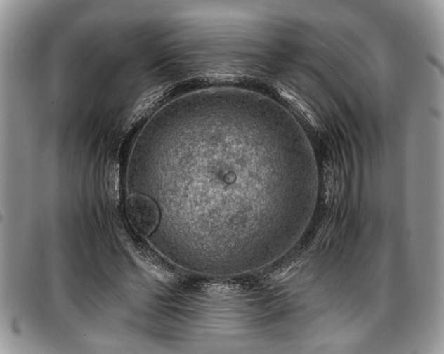 X0000096940494200802151218