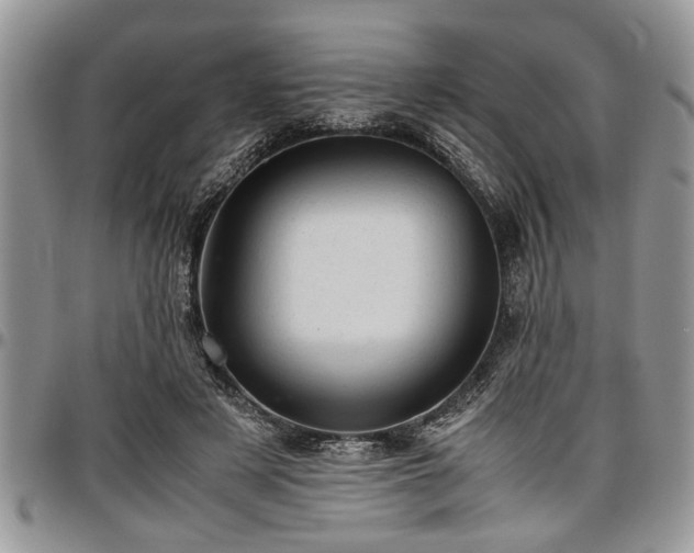 X0000096940497200802151218