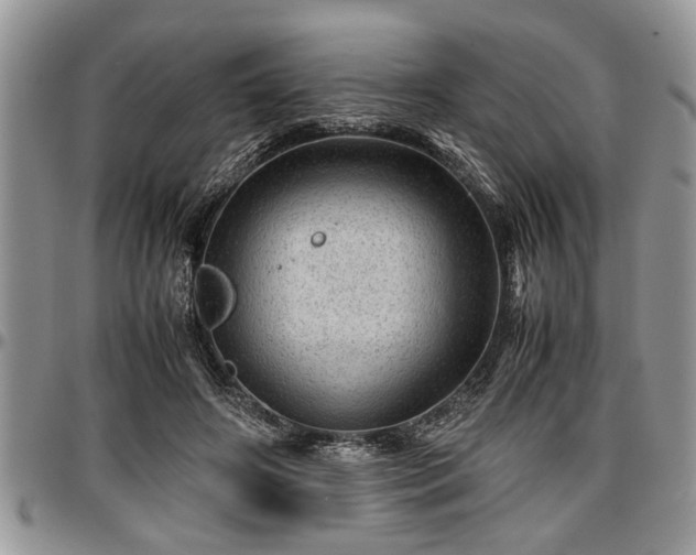 X0000096940498200802151218