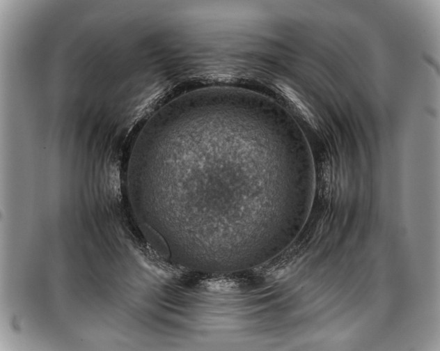 X0000096940500200802151218