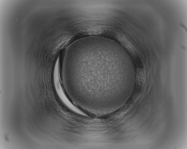 X0000096940501200802151218