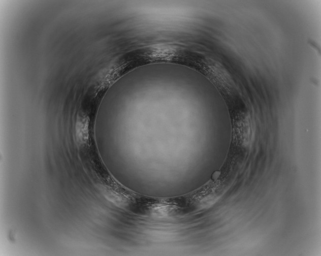 X0000096940504200802151218