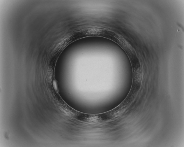 X0000096940505200802151218