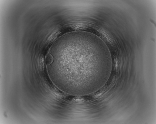 X0000096940506200802151218