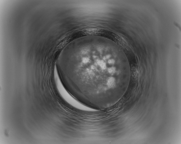 X0000096940507200802151218