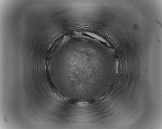 X0000096940508200802151218