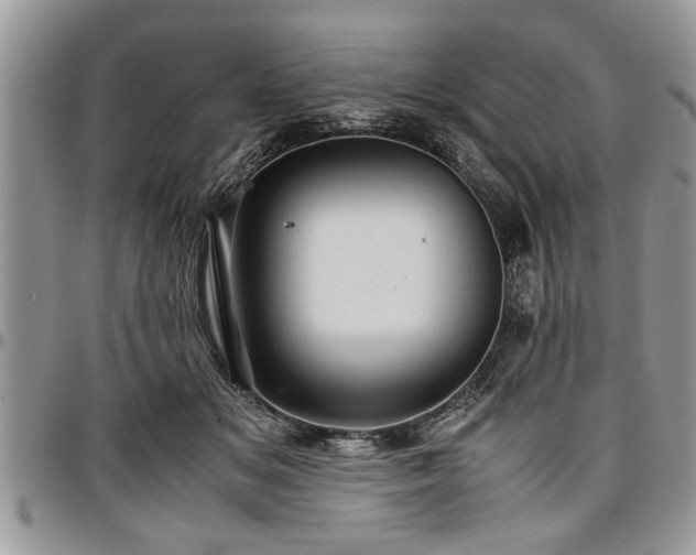 X0000096940509200802151218