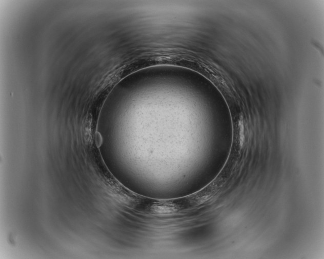 X0000096940510200802151218