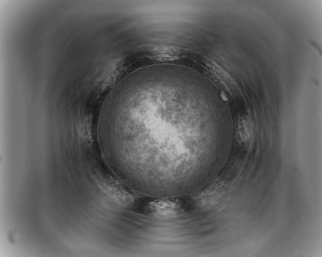 X0000096940512200802151218