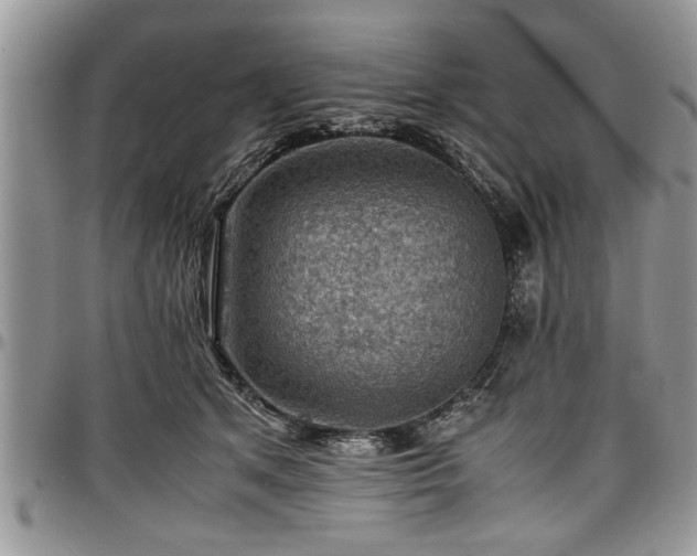 X0000096940513200802151218