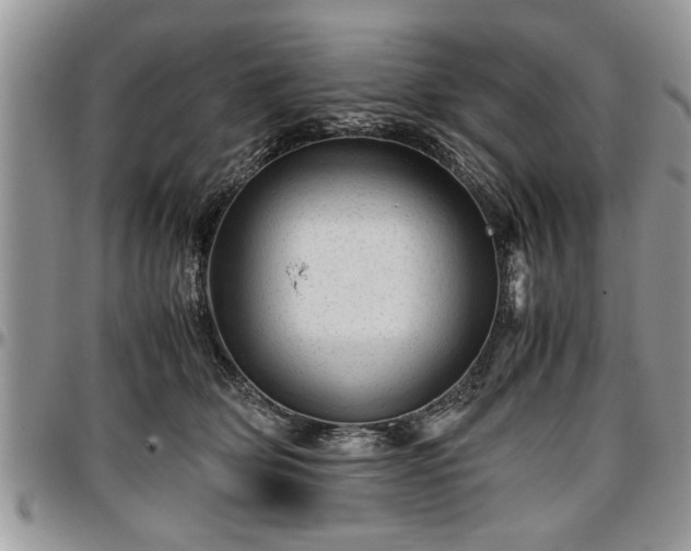 X0000096940514200802151218