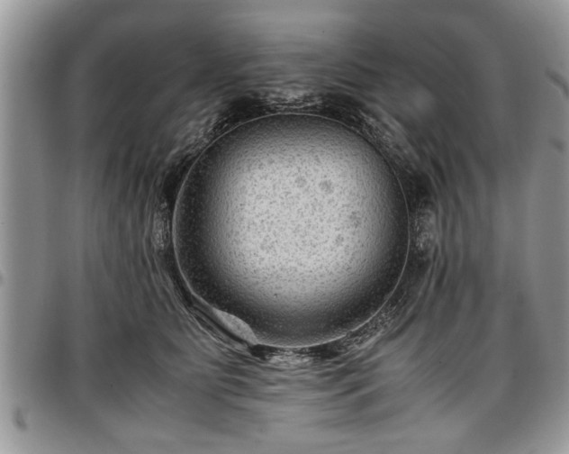 X0000096940515200802151218