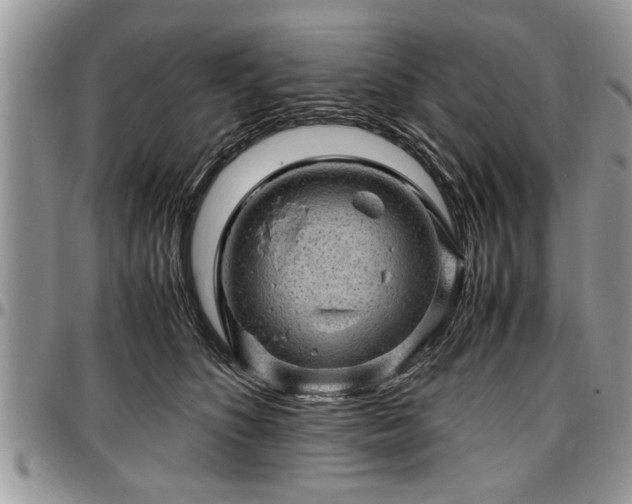 X0000096940516200802151218