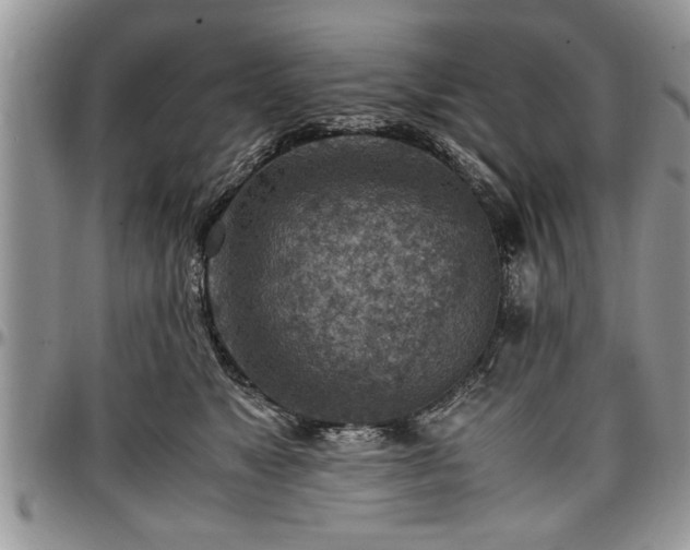 X0000096940517200802151218