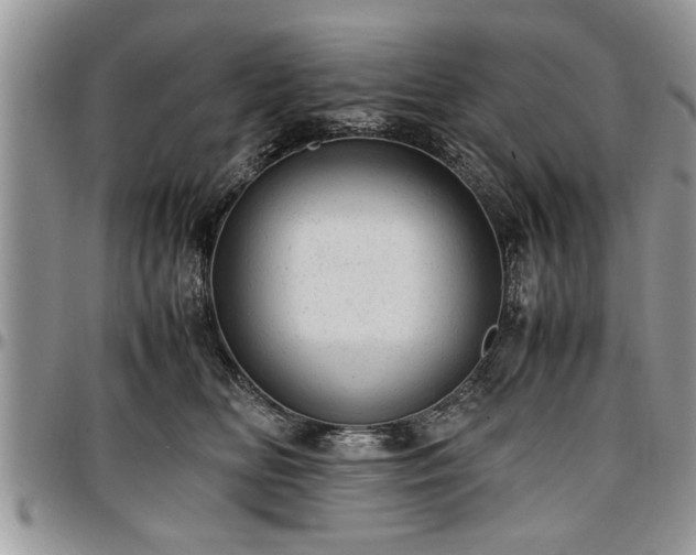 X0000096940518200802151218