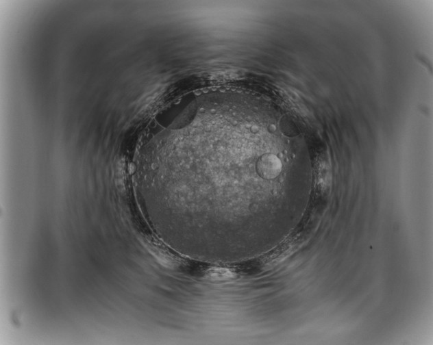 X0000096940519200802151218