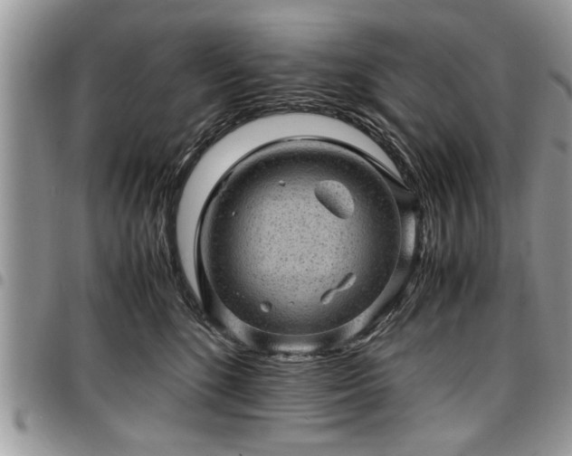 X0000096940520200802151218