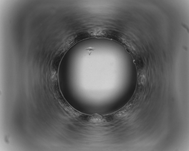 X0000096940521200802151218